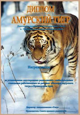 Диплом АМУРСКИЙ ТИГР