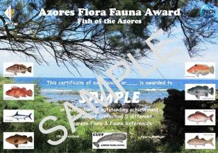 « Azores Fauna Flora Award (AFFA) » award