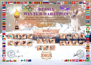 Диплом « Зимний марафон » (DIGI)