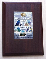 px_belarus_t award