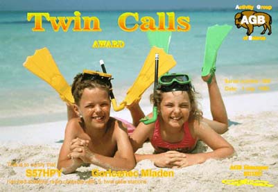 Диплом TWIN CALLS