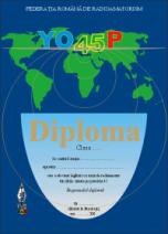 Диплом « YO 45° Paralell »